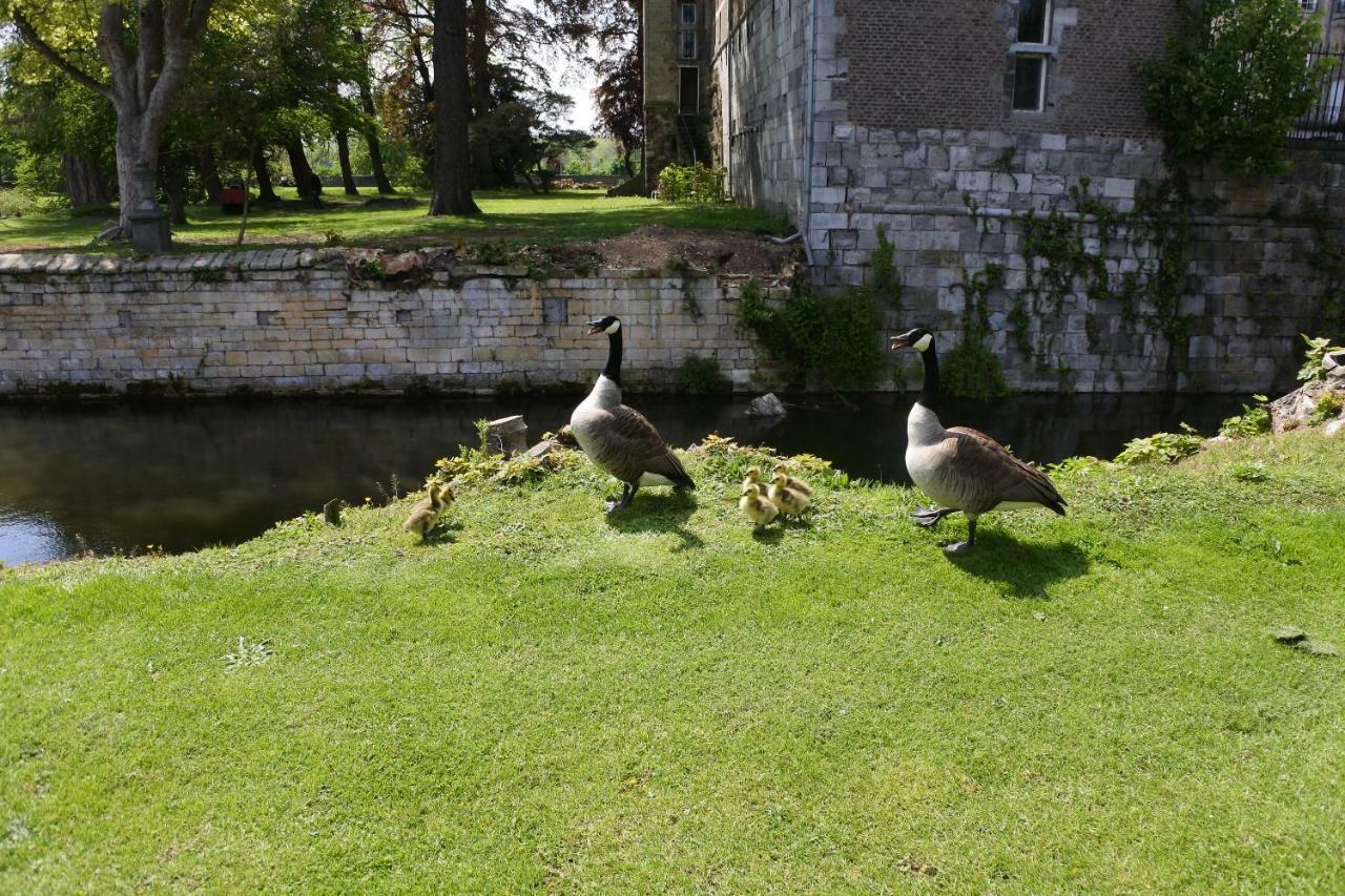 B & B Kasteelhoeve Borgharen - Маастрихт Екстер'єр фото